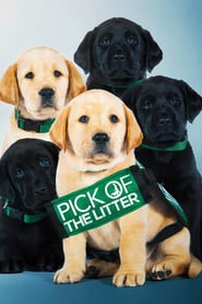 Pick of the Litter (2018)
