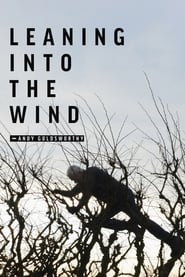 Leaning Into the Wind: Andy Goldsworthy (2017)