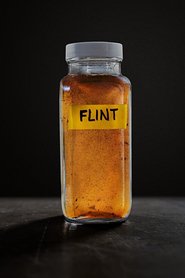Flint (2017)